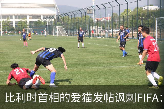 比利时首相的爱猫发帖讽刺FIFA：“红牌？”我照样继续踢！